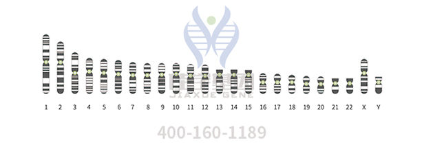 【佳学基因案例】脆性X染色体综合征基因检测、基因解码